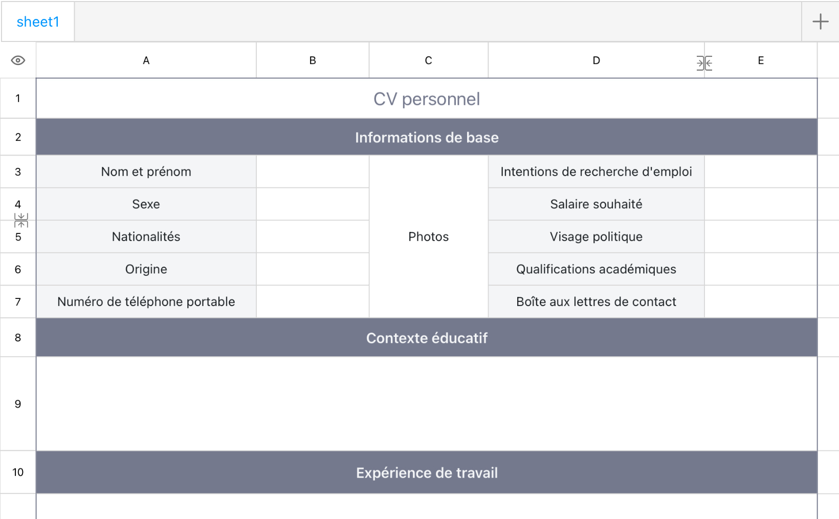 CV de recherche d'emploi personnel 2